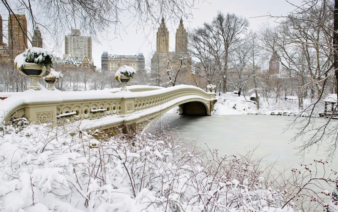 Image credit EastVillageImages