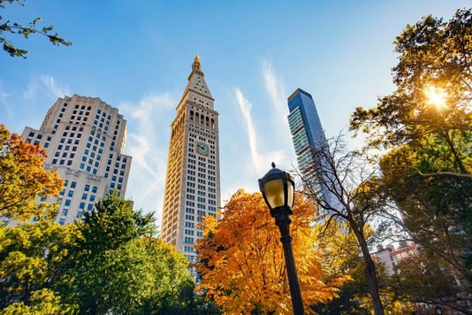 Manhattan, skyscrapers and colorful trees Credit to Mikael Damkier