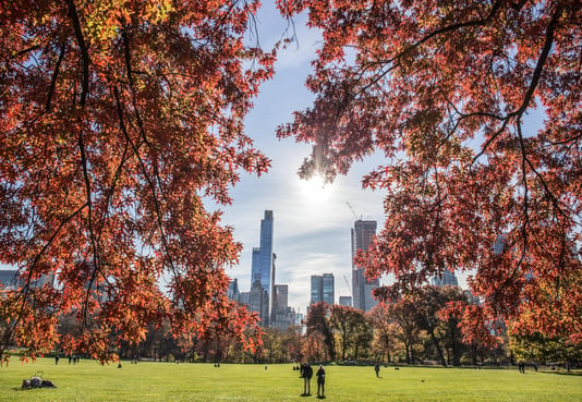 Central Park's Hidden Gems: Explore the Park's Best-Kept Secrets
