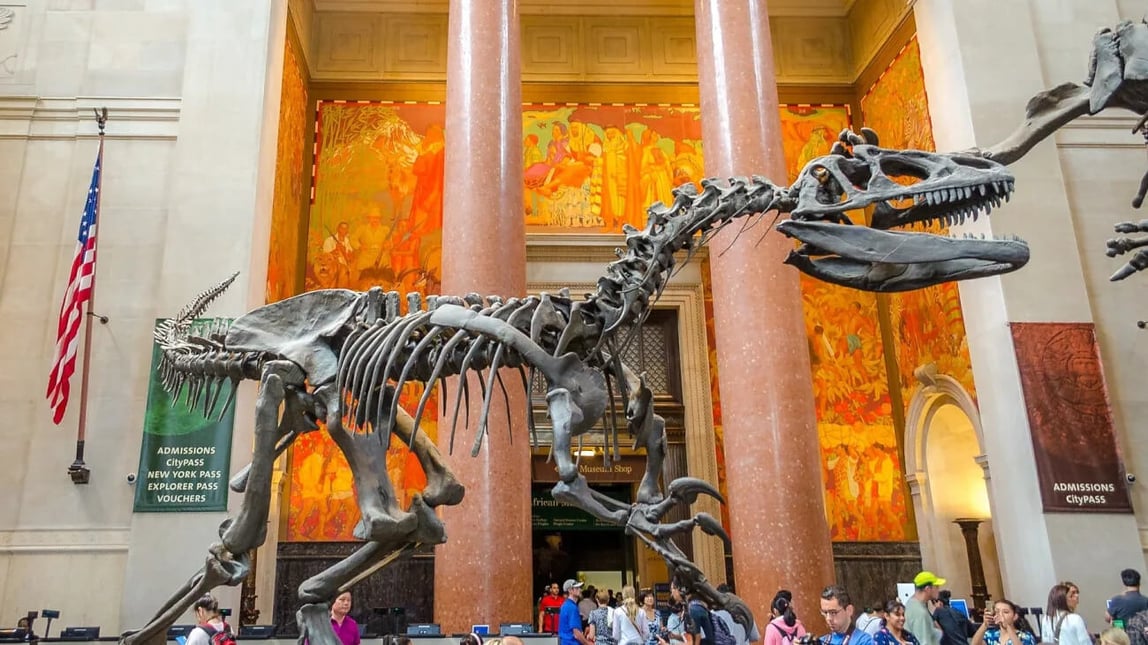 5 Must-See Things at the American Museum of Natural History photo