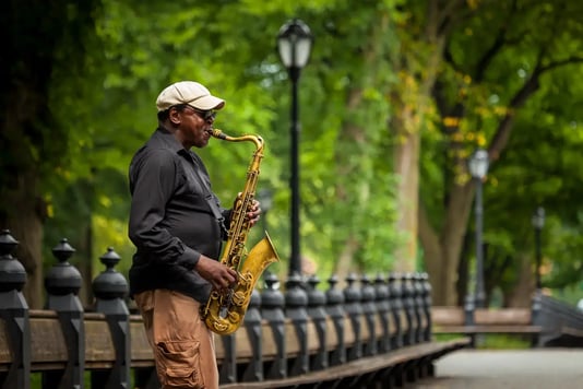  Jazz at Central Park - Image by Einar Magnus Magnusson / Shutterstock.com