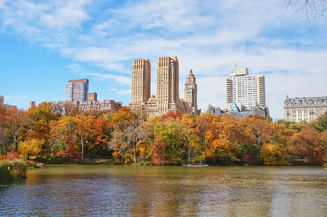 Central Park in Fall Credit to Mars C