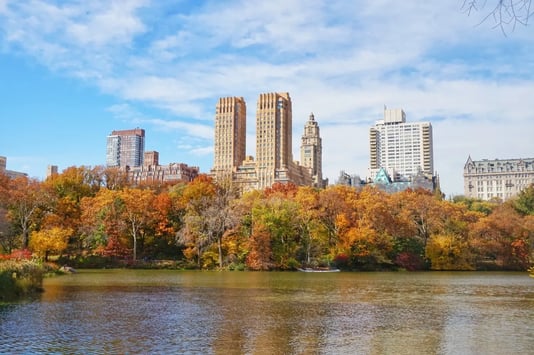 Central Park in Fall Credit to Mars C